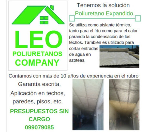Poliuretano Expandido Rocha 0