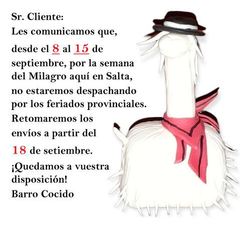 Muñeco Bebe Coya Coyita Chola Con Aguayo Pack Surtidos 1