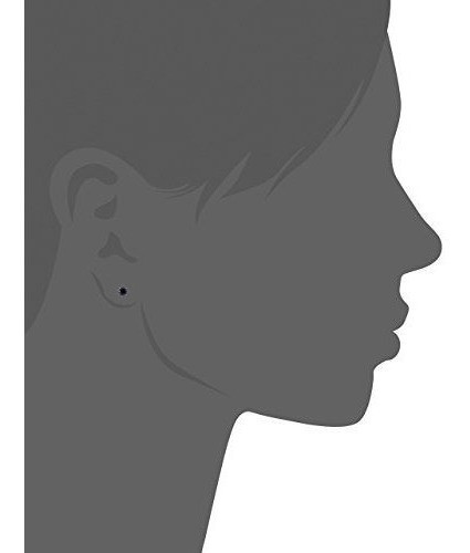 Pendientes De Tuerca De Diamante Negro En Plata De Ley 1