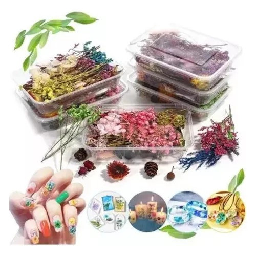Pack Flores Secas Especial Para Velas, Resina, Etc. 0