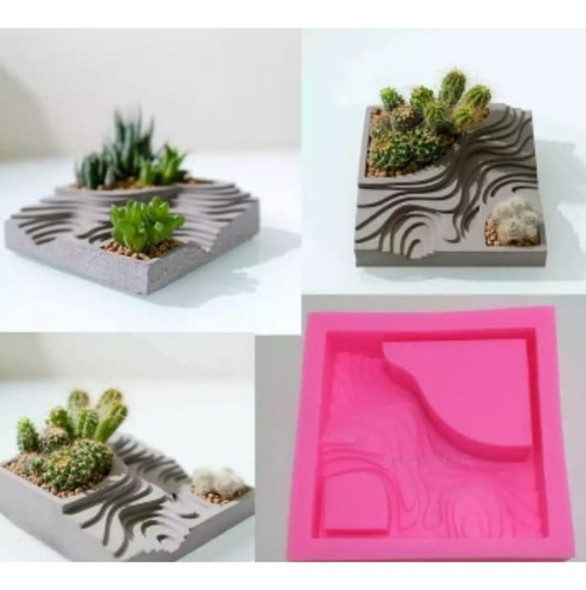 Molde De Silicona Especial Para Plantas-cactus 1