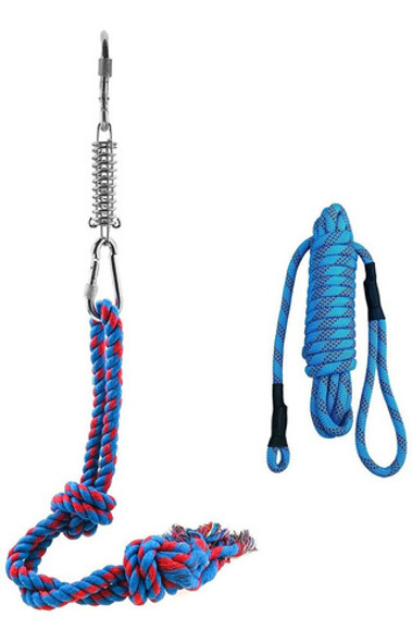 Soga Fija Con Resorte De Juego Y Entrenamiento Para Perros 0
