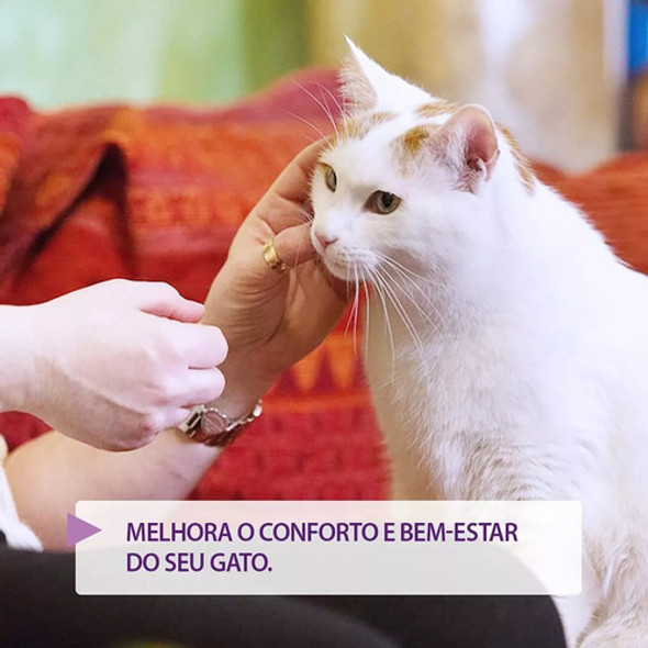 02 Feliway Friends Difusor + Refil 48ml 1 02 Feliway Friends Difusor + Refil 48ml 1