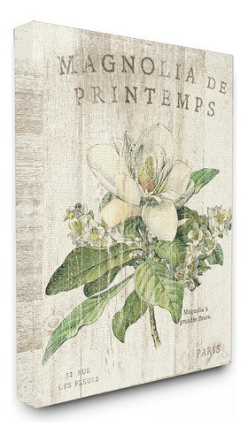 Stupell Industries Magnolias Francesas En Primavera Arte Mur 0