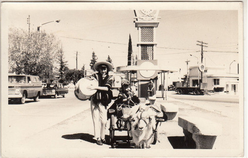 Argentina Fotografia Real Carro Tirado Por Oveja Cartel Ypf 0