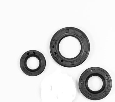 Retentor Embreagem Pinhao Marcha Cbx 250 Twister 0