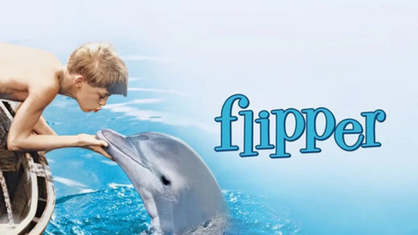 Serie Completa Flipper 0