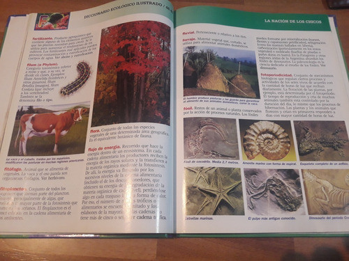 Diccionario Ecológico Ilustrado 1