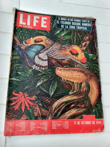 Revista Life - 11/10/1954 El Fecundo Bosque Humedo Tropical 0