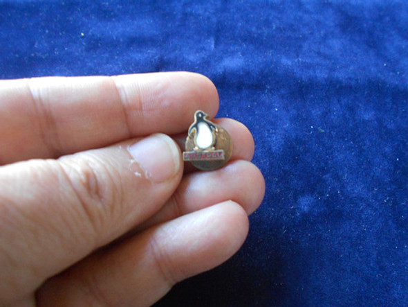 Lucheto Pin Austral Líneas Aereas Ojal Solapa - Casa Pisani 0