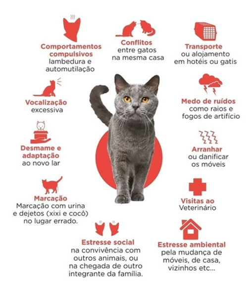 Serenex Felinos Difusor E Refil 42ml König 1