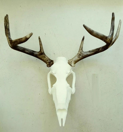 Cabeza De Ciervo Osamenta Plastica 41cm Ancho 50cm Alto 1