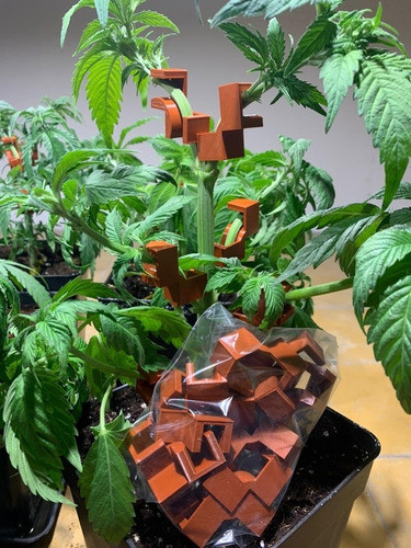 Cropping 10 Unidades Cultivo Grow 0