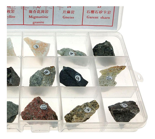 Suprimentos De Material De Ensino Metamórfico De Amostra De 1