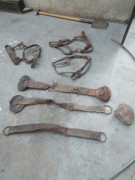 Cabezales Y Otras Partes De Apero De Caballos Para Decoracio 0