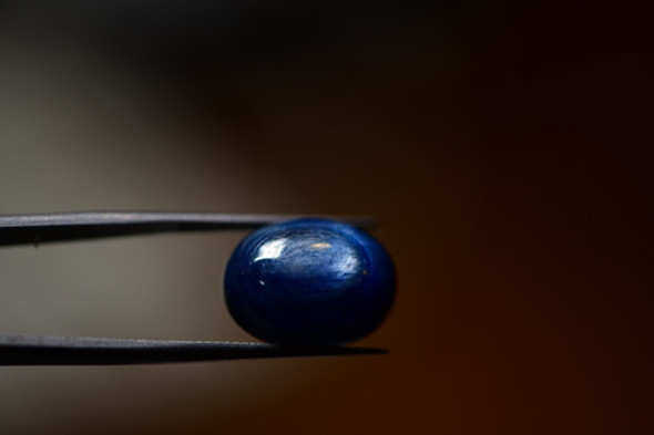 Kyanite Nepal Oval 15,60 Quilates 15x12mm (svgemstones) 1