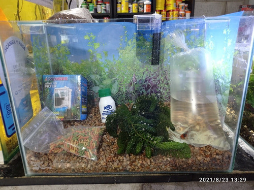 Kit Pecera Completo Con Filtro 40*30*20 Con 1 Pez.aquariumba 0