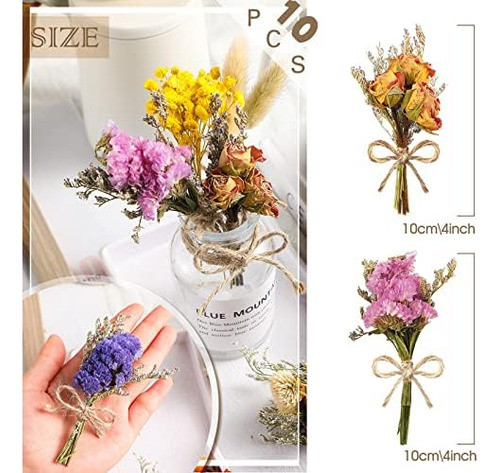 10 Peças Mini Flores Secas Gipsófila Natural Buquê De Flore 1