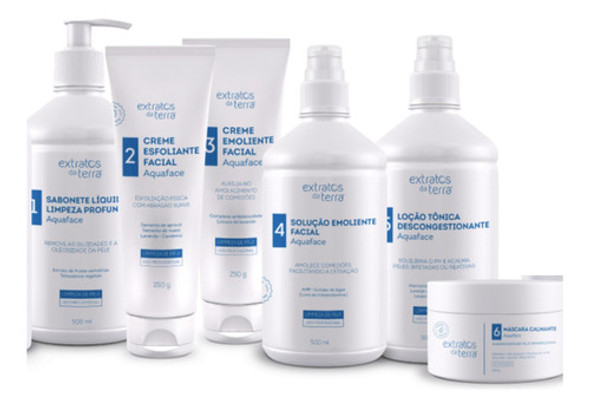 Kit Limpeza De Pele Profissional Extratos Da Terra 1