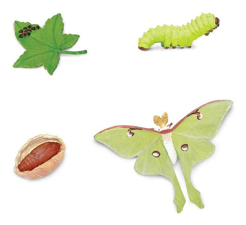 Ciclo De Vida Polilla Luna Juguete Didactico Safari Niño Ax® 1