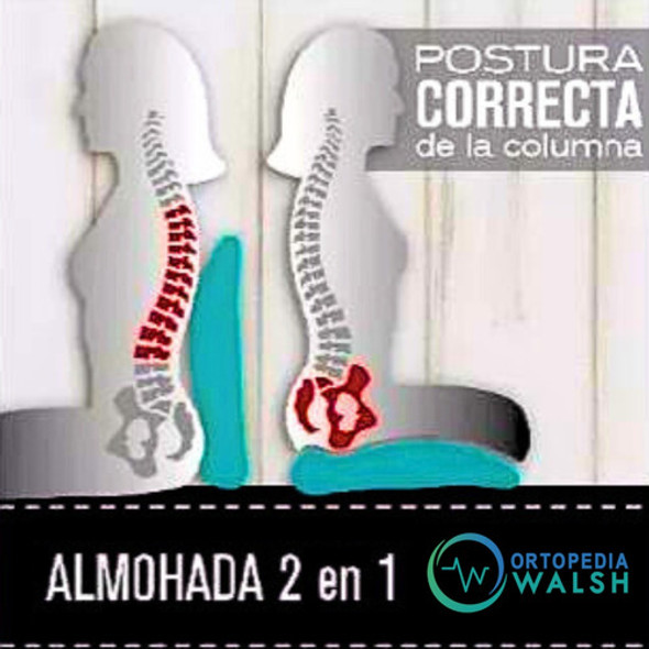 Almohadon Asiento Descanso Postural Respaldo Sacro Lumbar 1