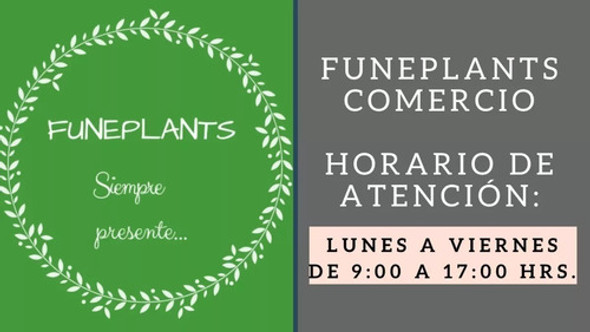 Placas Funerarias De Bronce N° 29 La Carreta De 30 X 20 Cm 1 Placas Funerarias De Bronce N° 29 La Carreta De 30 X 20 Cm 1