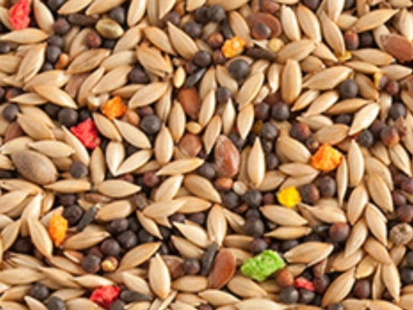 Mezcla Para Canarios, Manones, Diamantes, Jilguero, 25kg Exc 1 Mezcla Para Canarios, Manones, Diamantes, Jilguero, 25kg Exc 1