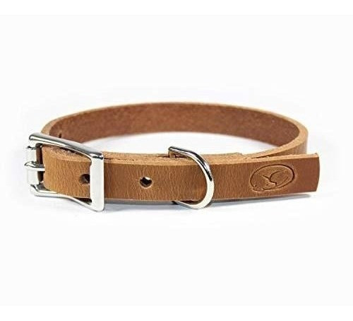 Collar De Perro De Cuero Grueso De Grano Completo De 3/4  De 0