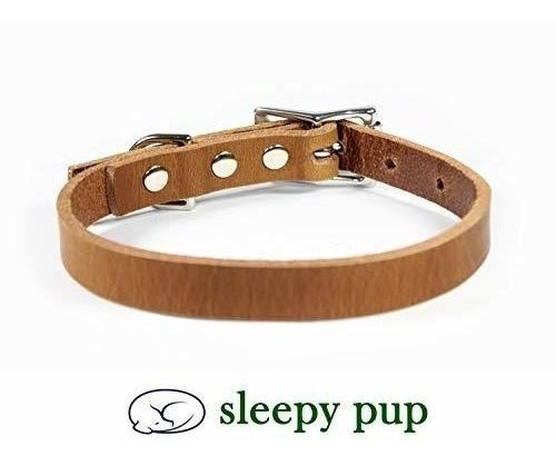 Collar De Perro De Cuero Grueso De Grano Completo De 3/4  De 1
