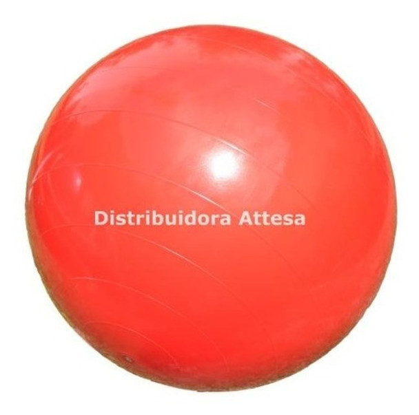 Pelota Esferodinamia Gym Ball 75 Cm 1200 Gramos Pilates Reha 0