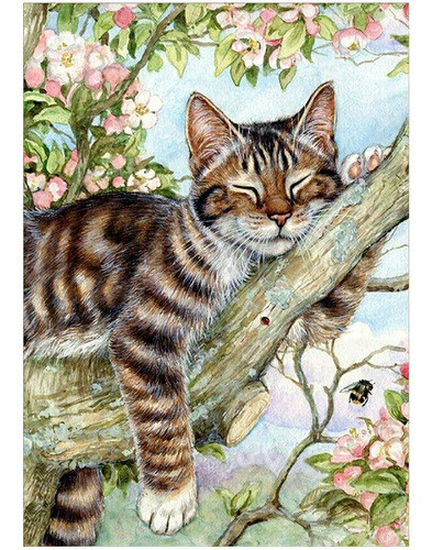 Kit De Pintura Por Diamantes 5d Gato Durmiendo 0