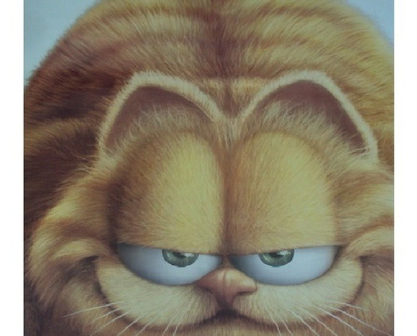 Poster Garfield 0