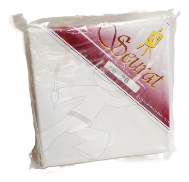 Bastidor Entelado Tipo Caja Seurat Grano Fino 20 X 20 Cm 0 Bastidor Entelado Tipo Caja Seurat Grano Fino 20 X 20 Cm 0