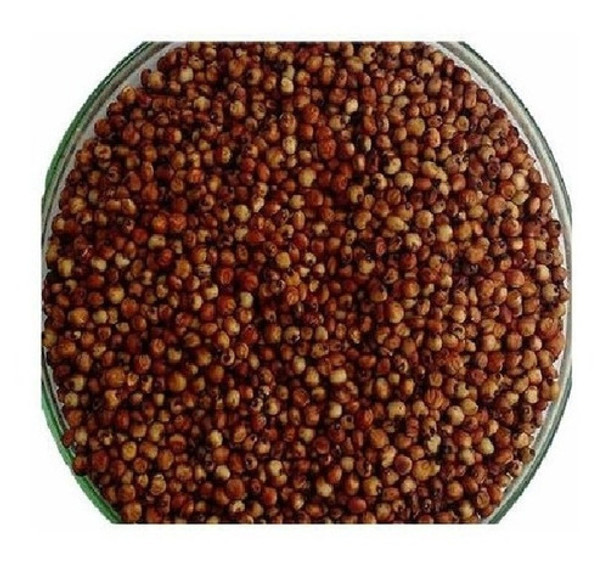 Sorgo Forrajero Variedad Sudan X 1 Kg 0