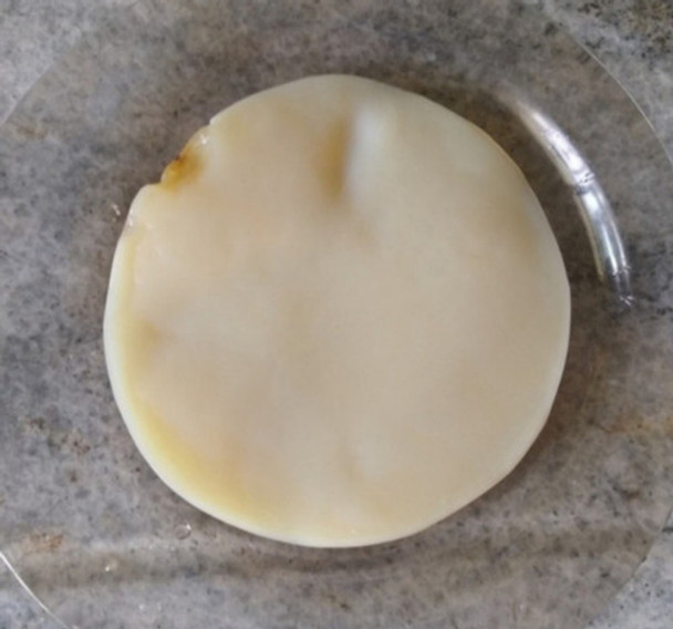 Kombucha, Hongo Scoby + Té De Arranque. No Envio. Zona Caba 0 Kombucha, Hongo Scoby + Té De Arranque. No Envio. Zona Caba 0