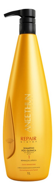 Shampoo Aneethun Repair System Pós Química 1000ml 0