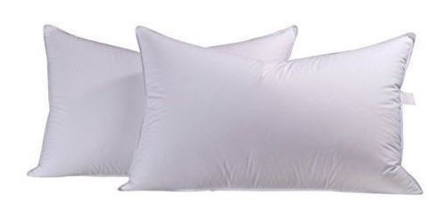 Ropa De Cama Eastwarmth Almohadas De Plumas De Ganso Y Pluma 0