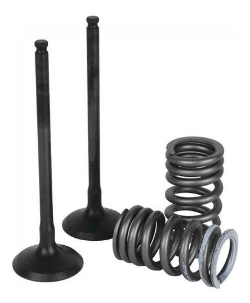 Kit Valvulas Admision Moto Honda Crf 250 10-17 Con Resortes 0