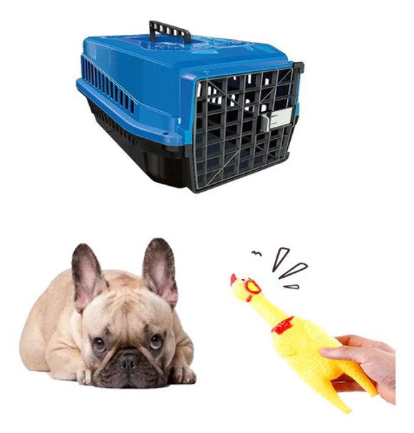 Mordedor Galinha Interativo + Caixa Transporte Pet N2 Azul 0