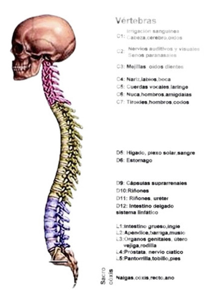 Manta Magnetica Magnetoterapia Iman Estres Ortopedica Dolor 0