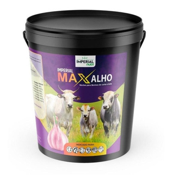 Alho Em Pó Concentrado 5 Kg Fim Das  Moscas E Carrapatos 0