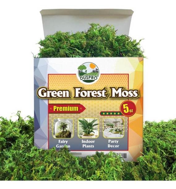 Duspro Musgo Verde Manualidades, Plantas Artificiales Musgo 0