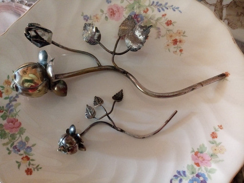 Rosas Baño De Plata 0