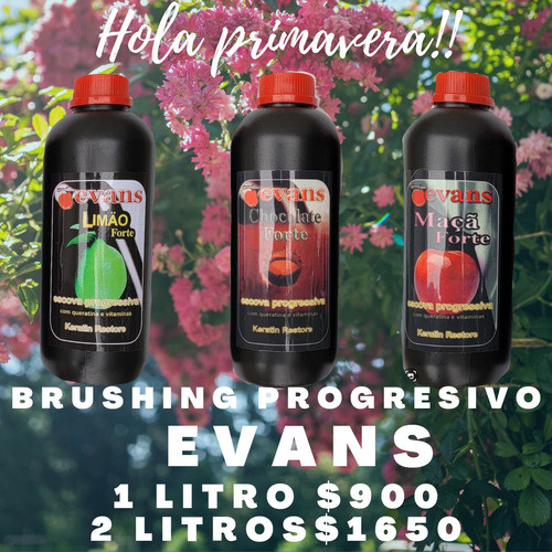 Promo 2 Litros Brushing Progresivo Evans Sellado Keratina 0
