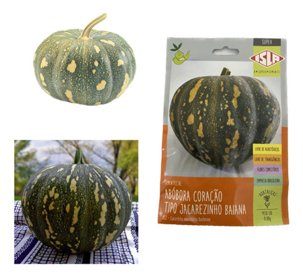 Abobora Coraçao Tipo Jacarezinho Baiana - 8gr De Sementes 0 Abobora Coraçao Tipo Jacarezinho Baiana - 8gr De Sementes 0