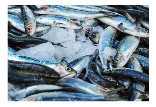 Pejerrey Fresco Despinado 0