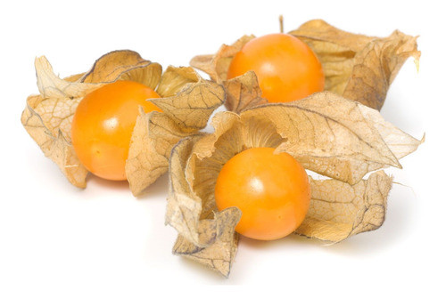 Physalis Peruviana (uchuba, Uvilla, Aguaymanto) 0