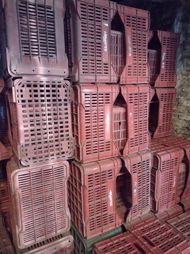 Bandejas Cosecheros Plásticas 0