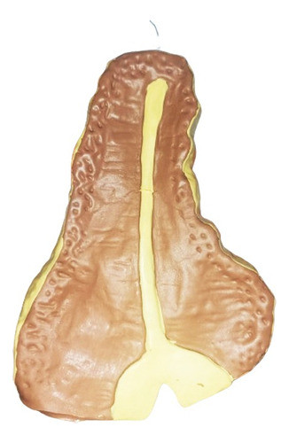 Juguete Chuleta Con Chifle Para Perros 10cm 0