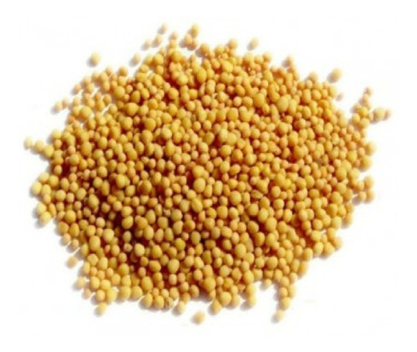 Semilla De Mostaza Amarilla Grano X 1 Kilo 0